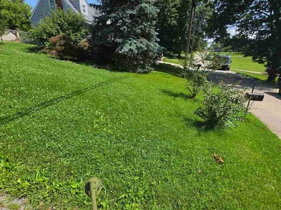 Lawn Care service in Erlanger, 41018