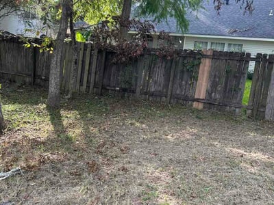 Leaf Removal service in Metairie, 70001