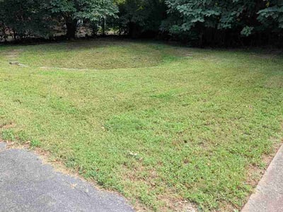 Lawn Care service in Westmoreland, 37186