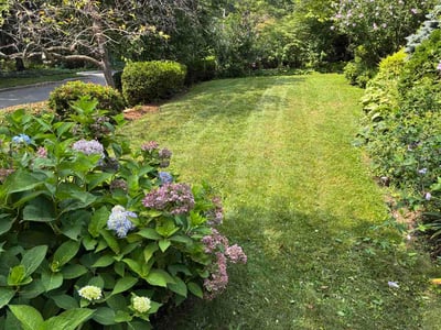 Lawn Care service in Fresh Meadows, 11366