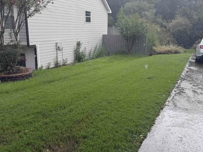 Lawn Care service in South Richmond Hill, 11419