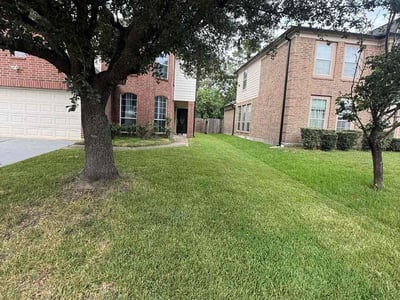 Lawn Care service in Salinas, 93901