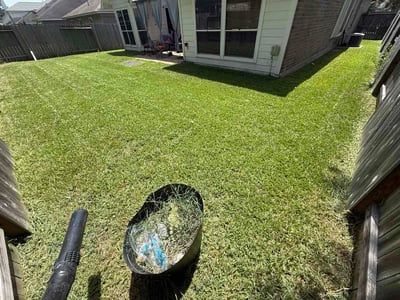 Lawn Care service in South Richmond Hill, 11419