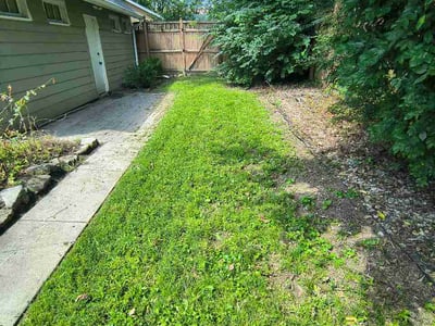 Lawn Care service in Cape May, 08204
