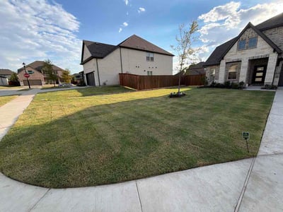 Lawn Care service in Farmers Branch, 75234
