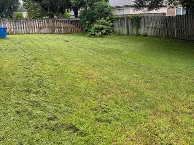 Lawn Care service in Ozone Park, 11417