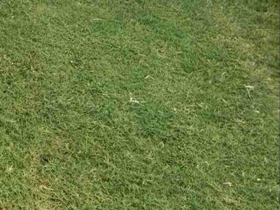 Lawn Care service in Manor, 78653
