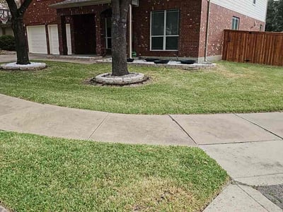 Lawn Care service in Cedar Park, 78613