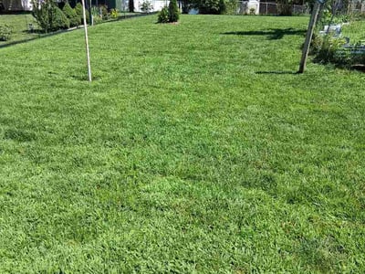 Lawn Care service in Middletown, 45044