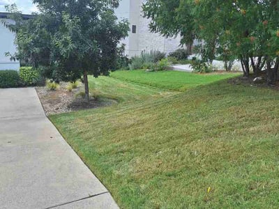 Lawn Care service in Dripping Springs, 78620
