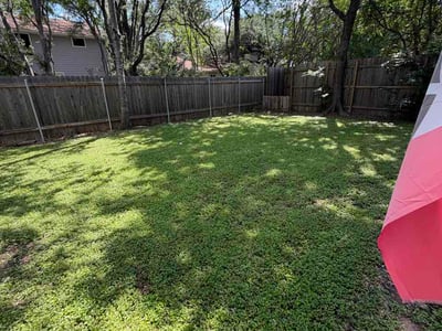 Lawn Care service in Cedar Creek, 78612