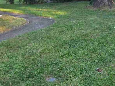 Lawn Care service in Middle River, 21220