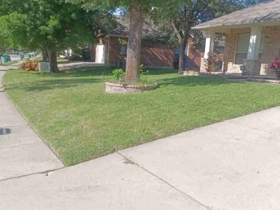 Lawn Care service in Pflugerville, 78660