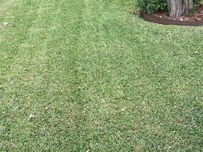 Lawn Care service in Dale, 78616