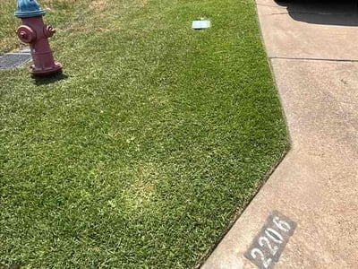 Lawn Care service in Wells Branch, 78728