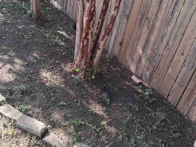 Lawn Care service in Buda, 78610