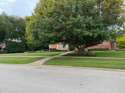 Lawn Care service in Palatine, 60074