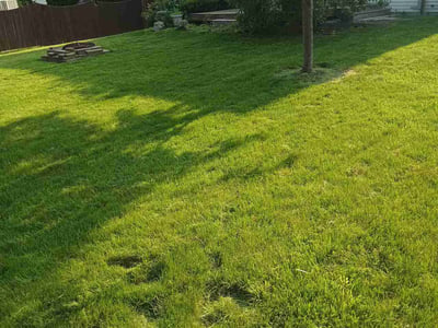 Lawn Care service in Palatine, 60074