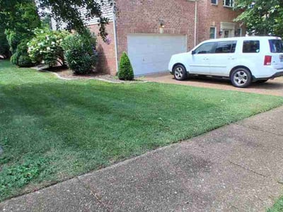Lawn Care service in Woodbury, 37190