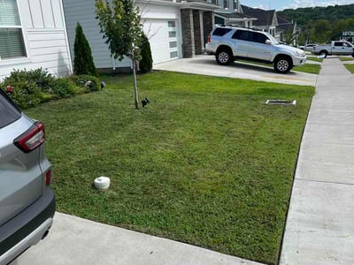 Lawn Care service in Lebanon, 37087