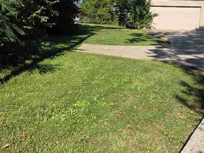 Lawn Care service in Lebanon, 37087