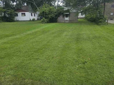Lawn Care service in Paterson, 07505