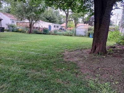Lawn Care service in Wood Dale, 60191