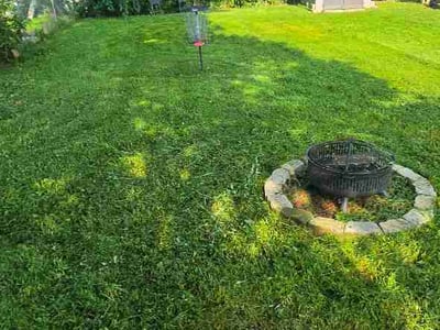 Lawn Care service in Pleasant View, 37146