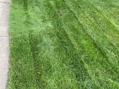 Lawn Care service in Park Forest, 60466
