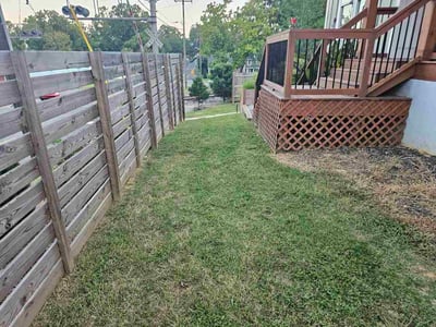 Lawn Care service in Springfield Gardens, 11434