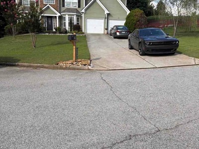 Lawn Care service in Springfield Gardens, 11434