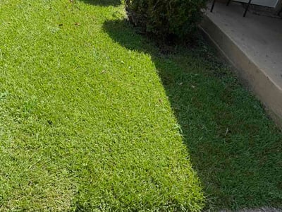 Lawn Care service in Prattville, 36067