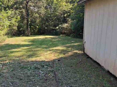 Lawn Care service in Brentwood, 37027