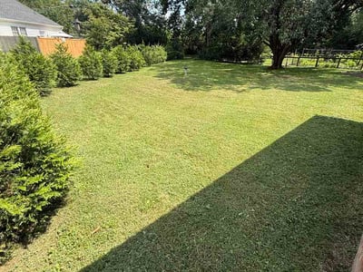 Lawn Care service in Franklin, 37064