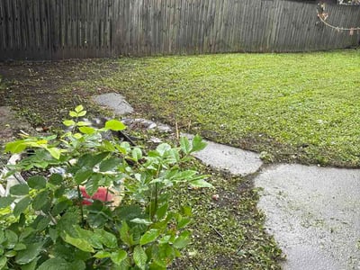 Lawn Care service in Dolton, 60419