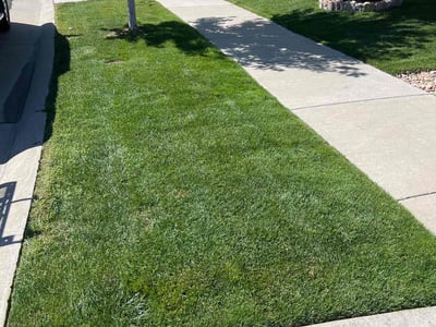 Lawn Care service in Garfield, 07026