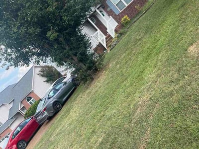 Lawn Care service in Burns, 37029