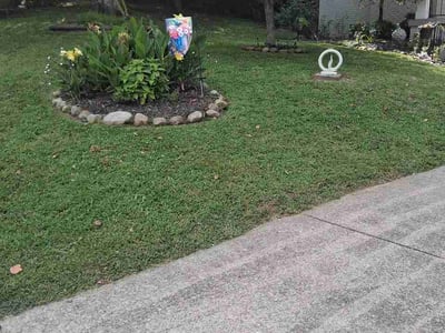 Lawn Care service in Burns, 37029