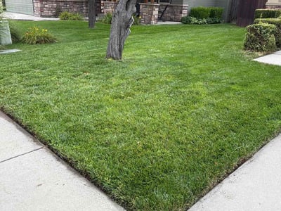 Lawn Care service in Central Point, 97502