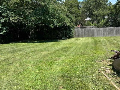 Lawn Care service in Gallatin, 37066