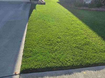Lawn Care service in Whitestone, 11357