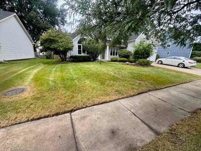 Lawn Care service in Elk Grove Village, 60007