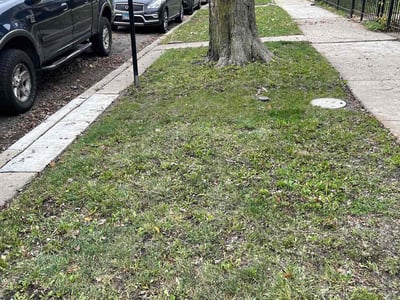Lawn Care service in Elk Grove Village, 60007