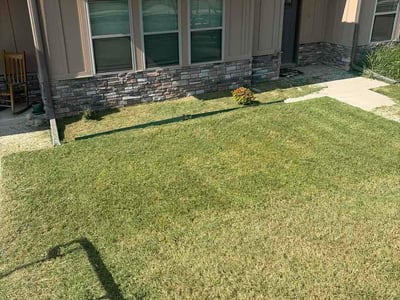 Lawn Care service in Hoboken, 07030