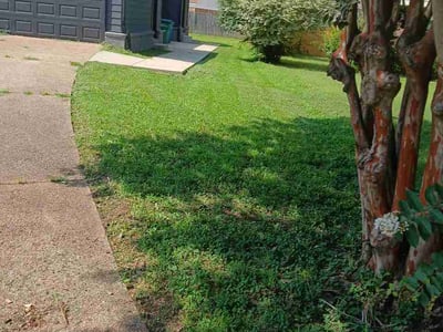 Lawn Care service in Germantown, 38138