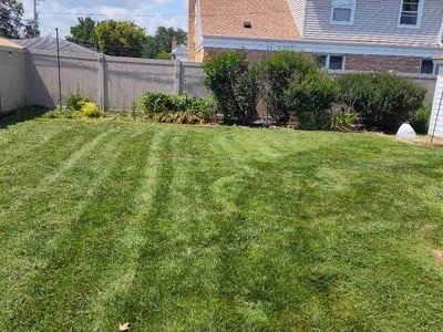 Lawn Care service in Crete, 60417