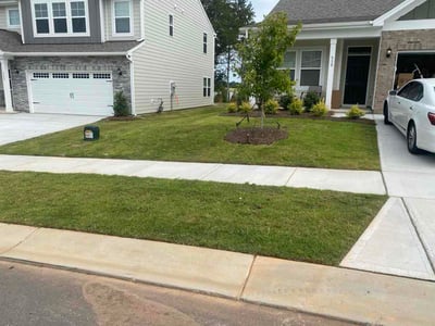 Lawn Care service in York, 29745