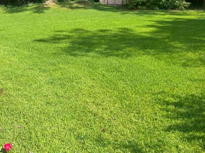 Lawn Care service in LaFayette, 30728
