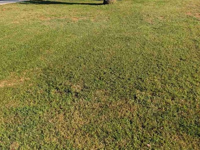 Lawn Care service in Marion, 37347