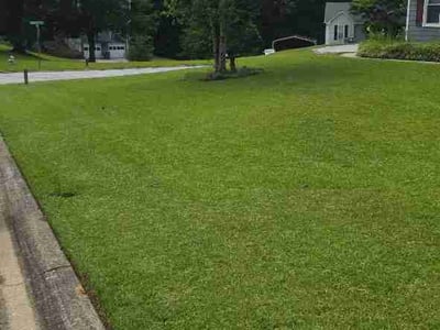Lawn Care service in East Elmhurst, 11369